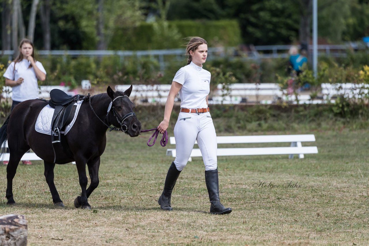 Bild 2 - Pony Akademie Turnier